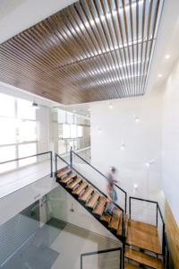 diseño-oficinas-Almendras-donaire-cyr-arquitectura