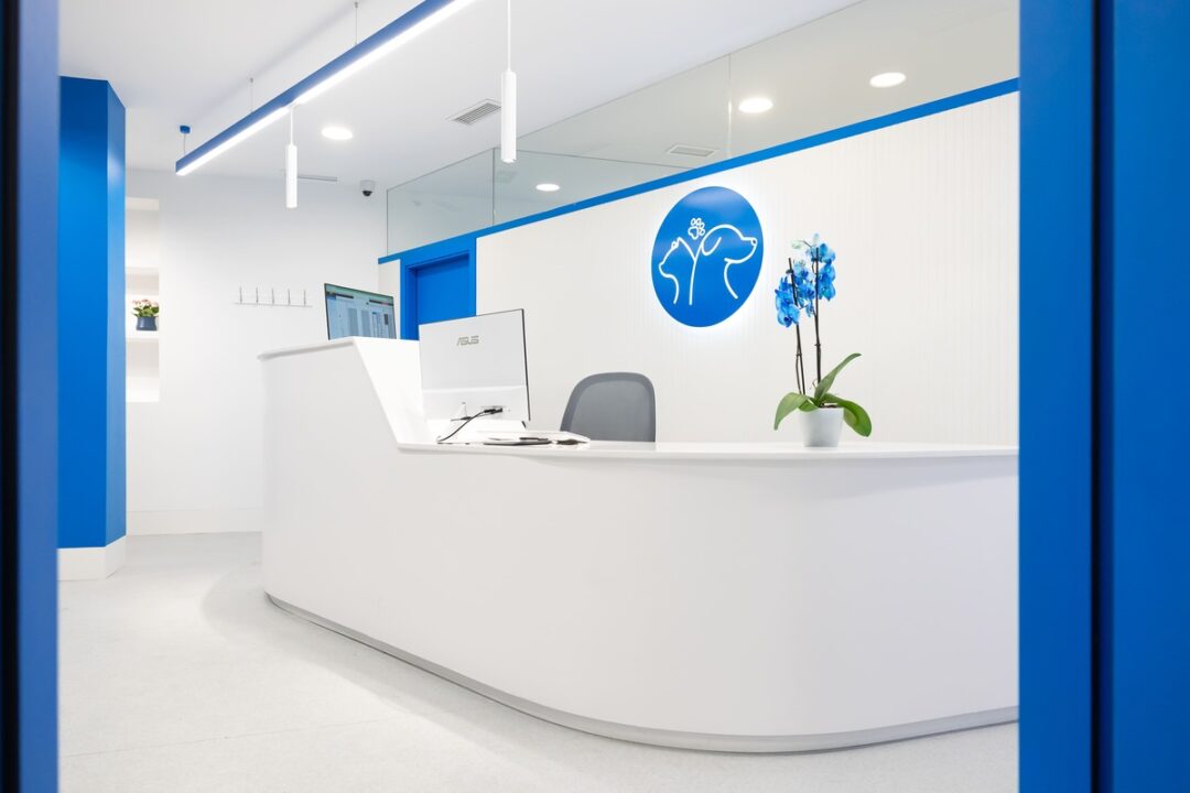 Interiorismo para centro veterinario Armilla